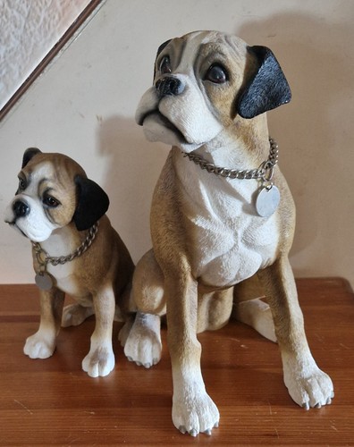 Leonardo boxer dog - "boxer, &