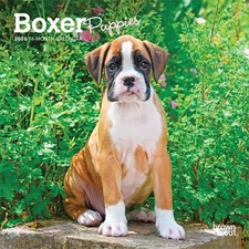 Boxer Puppies Mini Calendar