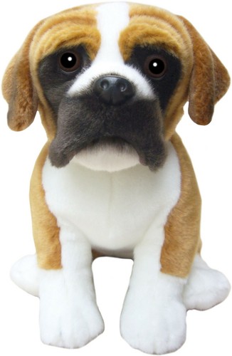 Boxer teddy boxers - *,