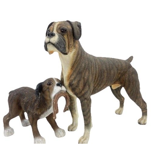 Boxer dog dad - boxer,