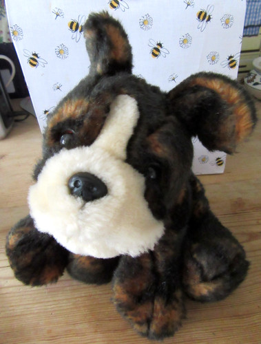 Biffa the boxer puppy keel - the,