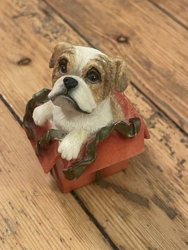 Boxer present puppy dog - boxer,