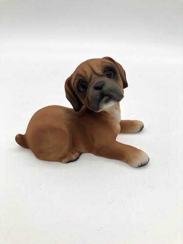Hhh harvey knox boxer dog - harvey,