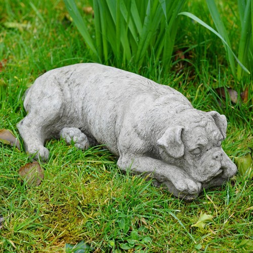 Boxer dog stone statue - boxer,