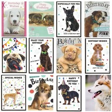 Cute Puppies Quality Birthday