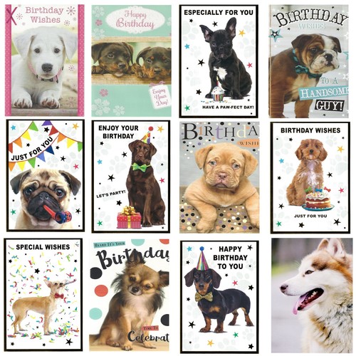 Cute puppies quality birthday - quality,