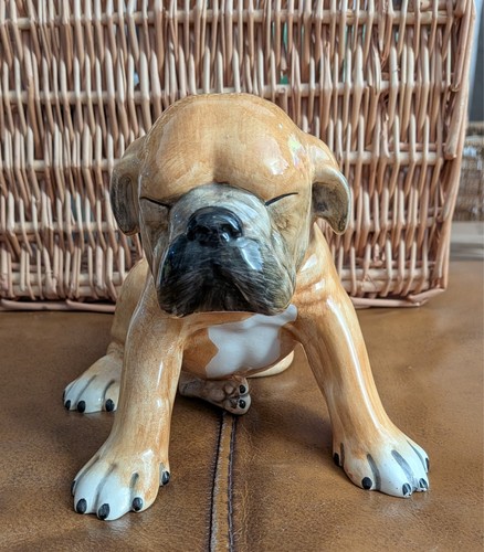 Italian porcelain boxer - italian, puppy