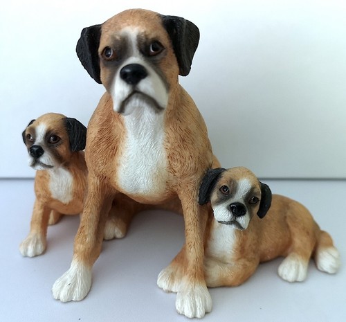 Gorgeous vintage boxer - gorgeous, dog