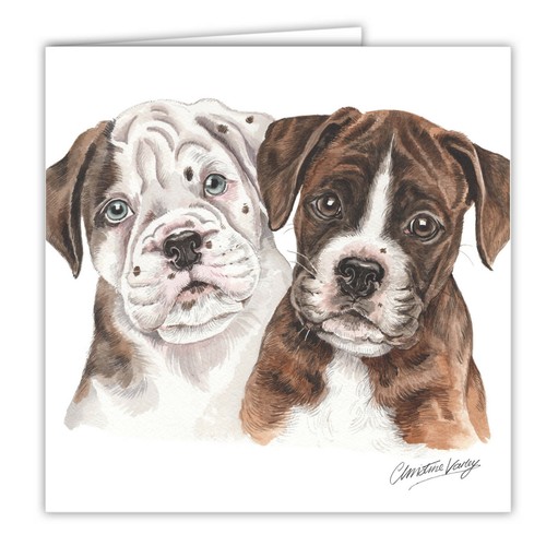 Boxer puppies greetings - , card